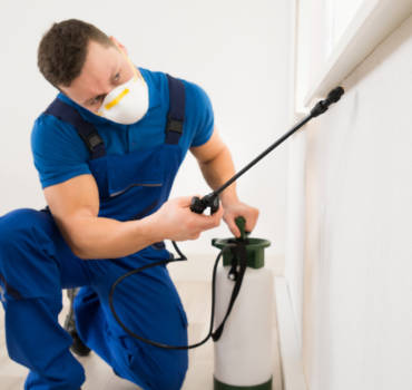 Fumigation Services